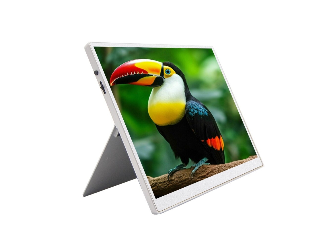 Monitor portátil para juegos gris FHD 1280p de 10,5 pulgadas con conexión USB-C HAILSI