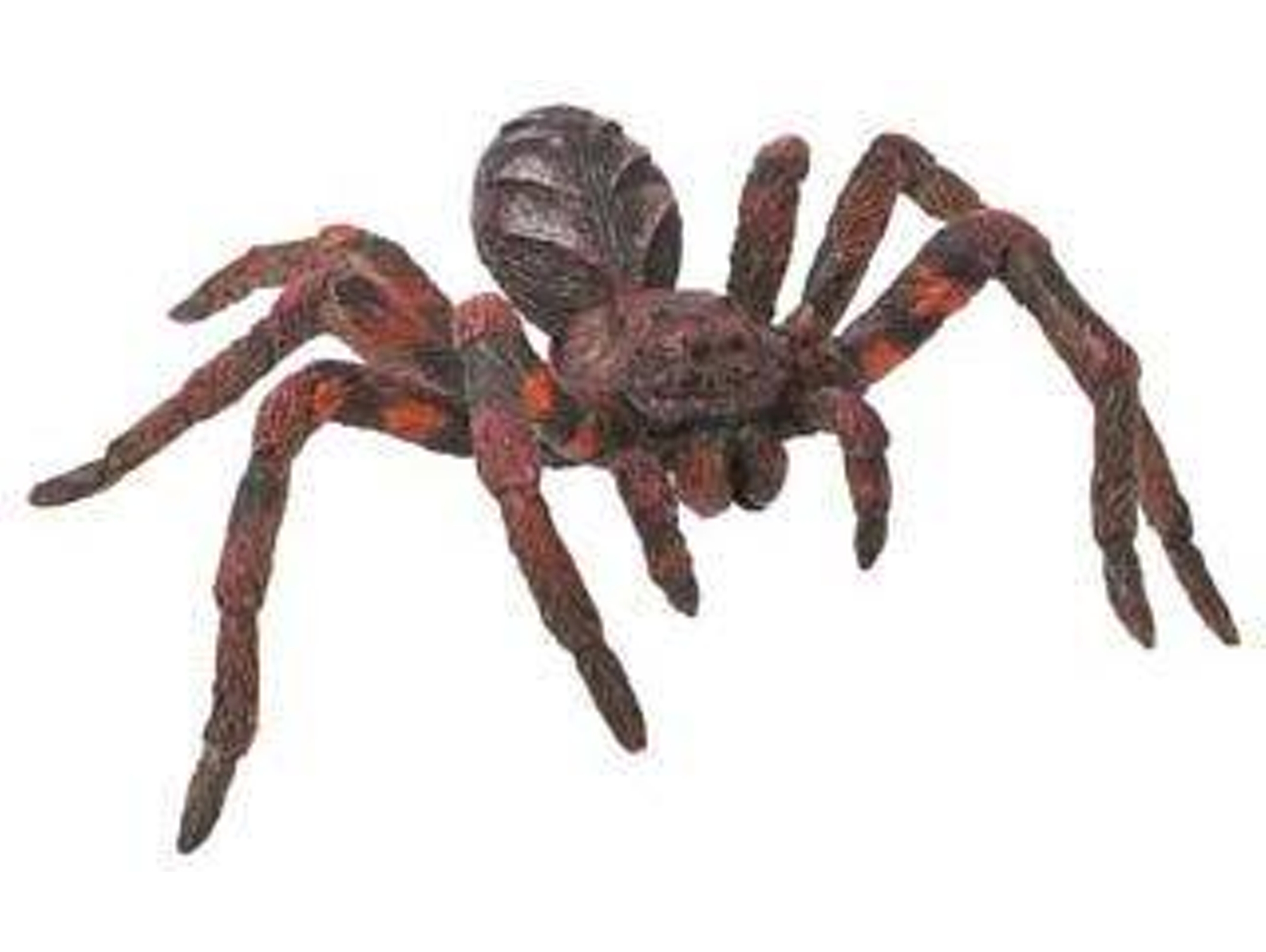 Figura de Jugar BULLYLAND Araña Lobo