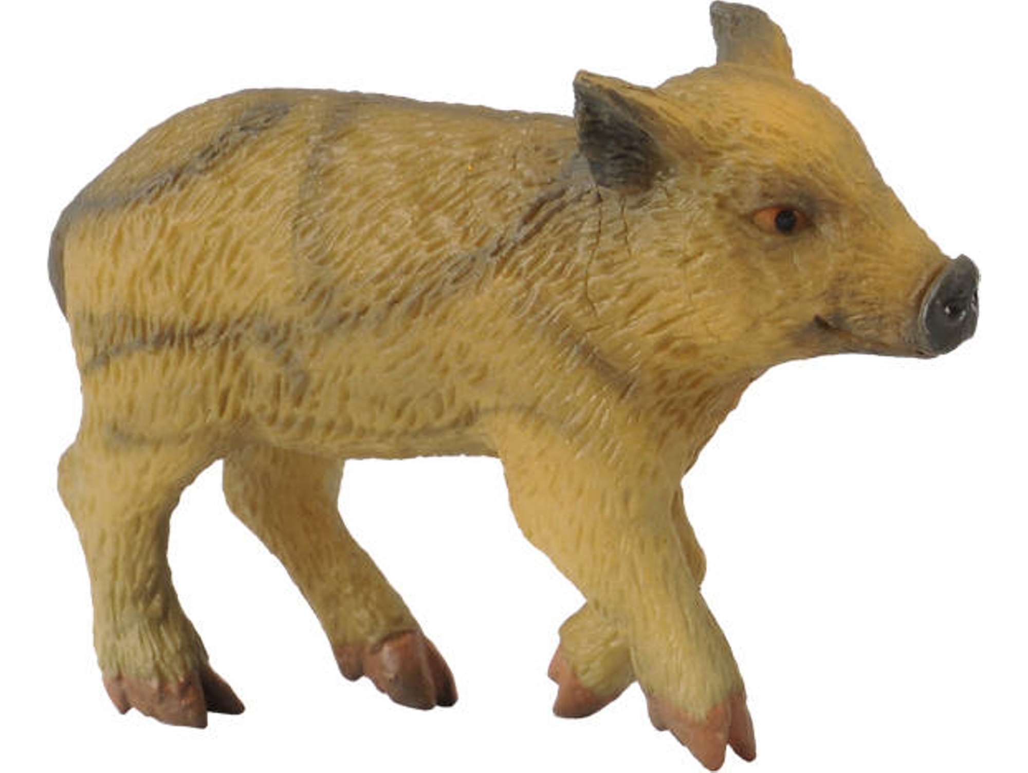 Figura COLLECTA León