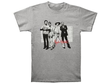 Camiseta ROCKINSTONE gris con foto de Janes Addiction (M)