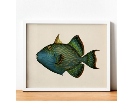 Póster NACNIC de Pez Azul, Verde Amarillo en , Fondo Papel Vintage Papel 250 Gr Marco