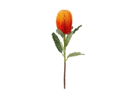 Flor Artificial De Banksia, Imitación De Naranja, Alta Calidad, Lujosa Y Ligera Decoración Para El Hogar Y El Hotel.