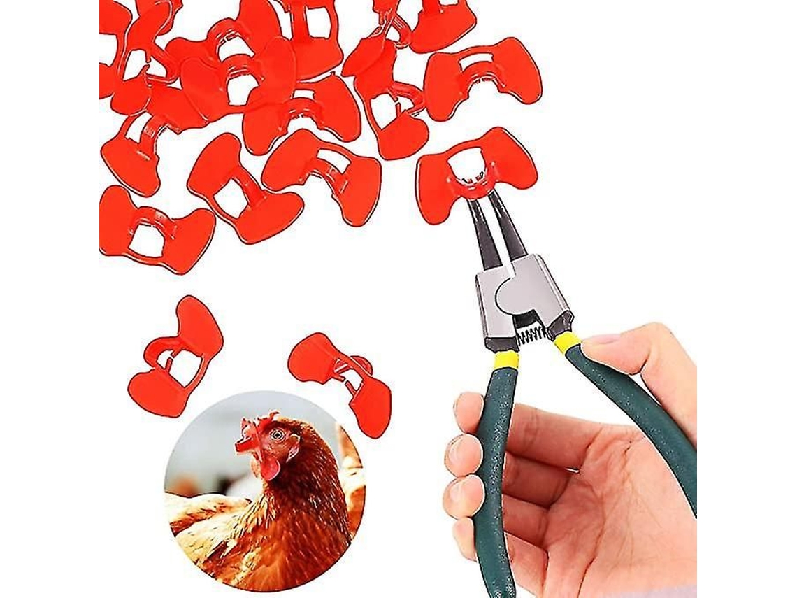 Pack 100 gafas anticanibalismo gallinas plástico rojas. Protección avicultura. Incluye clip.