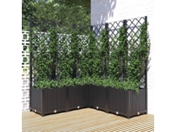 Maceta/Jardinera de Jardín con Enrejado 120X120X136 Cm PP Negro