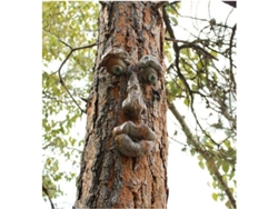 Adorno Para Árbol Con Rostro De Anciano, Comedero Para Pájaros, Jardín Exterior, Resina, 4 Piezas