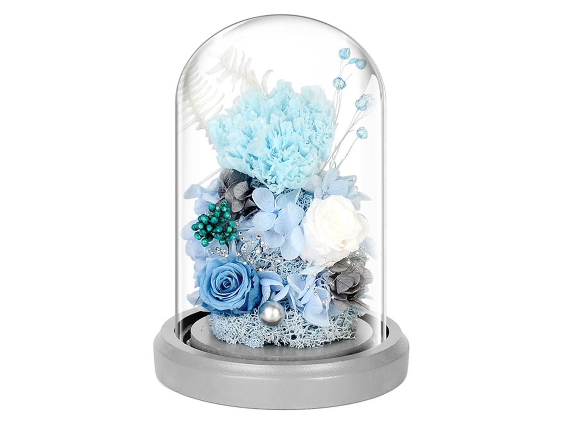 Decoración de clavel eterno con flores secas en cúpula de cristal con base iluminada, regalo de fiesta de cumpleaños JEIIBRZUI