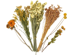 Decoración Lecho De Flores Secas Para Hámster