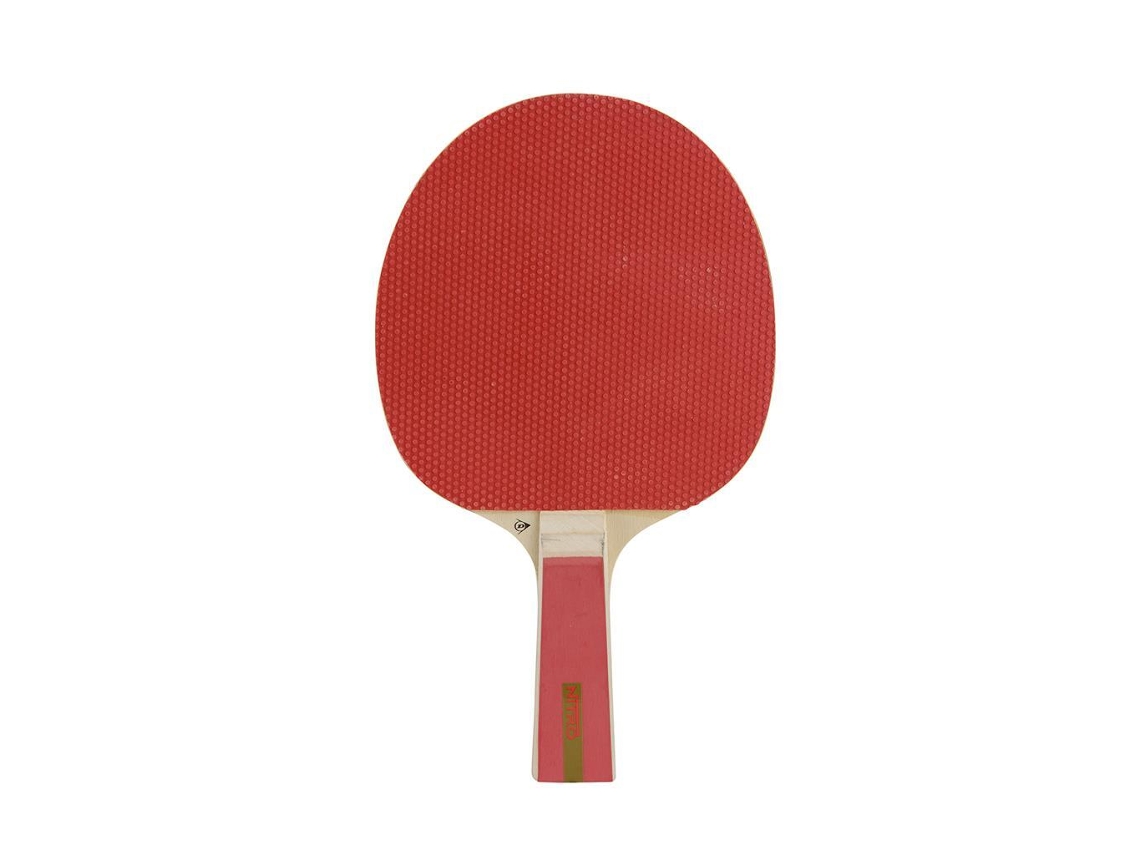 Raqueta de tenis de mesa DUNLOP Nitro