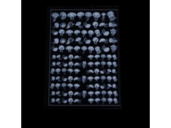 Adhesivo de resina transparente para medusas en 3D, pintura con efecto agua, apto para moldes de silicona Rosewell.