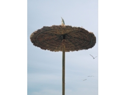 Sombrilla Natural De Brezo O Esparto | Comunidades, Chiringuitos, Jardín Y Piscina | Resistente Y Artesanal | Parasol Tropical Brezo Mediana