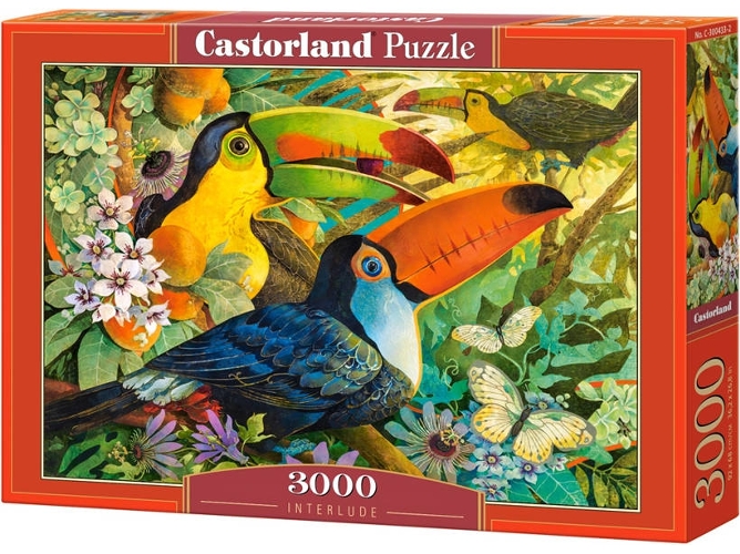 Puzzle CASTORLAND Interlude (3000 Piezas)