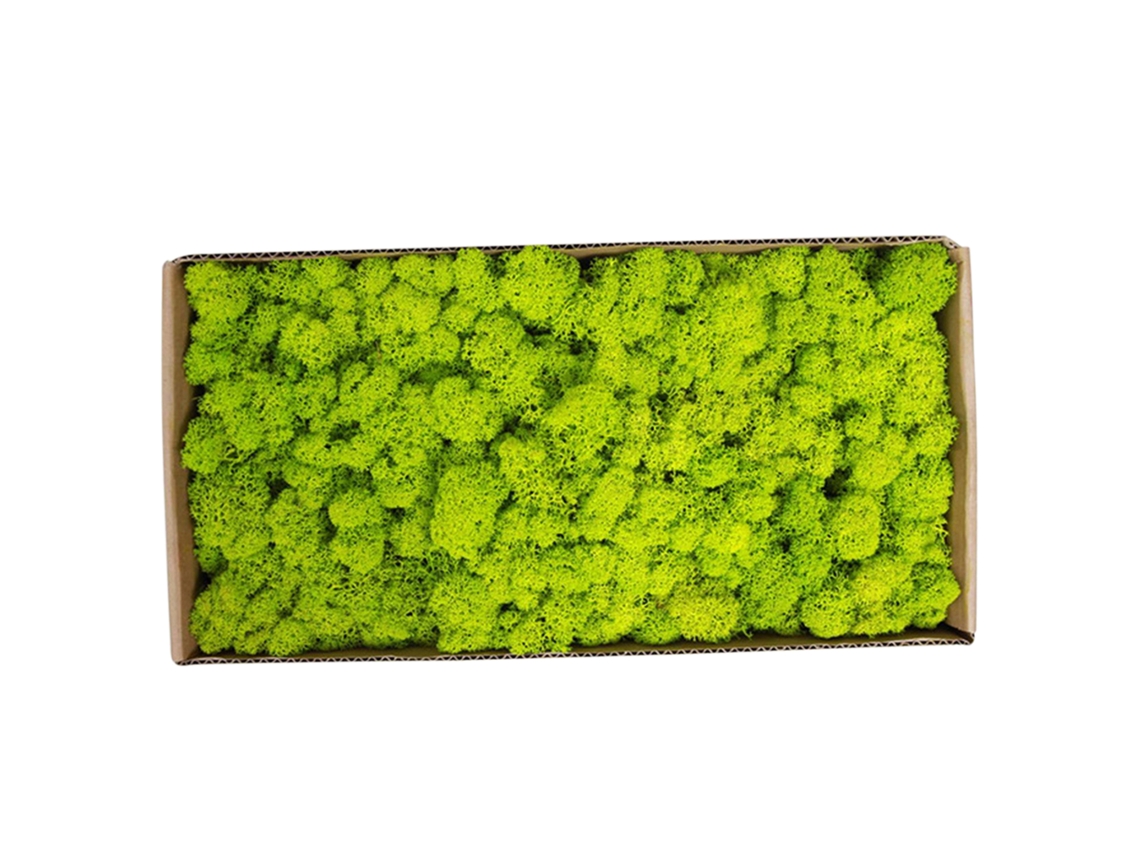 Musgo Preservado Para Decoración De Paredes, Micropaisajes De Jardín, Sin Necesidad De Mantenimiento, 500 G