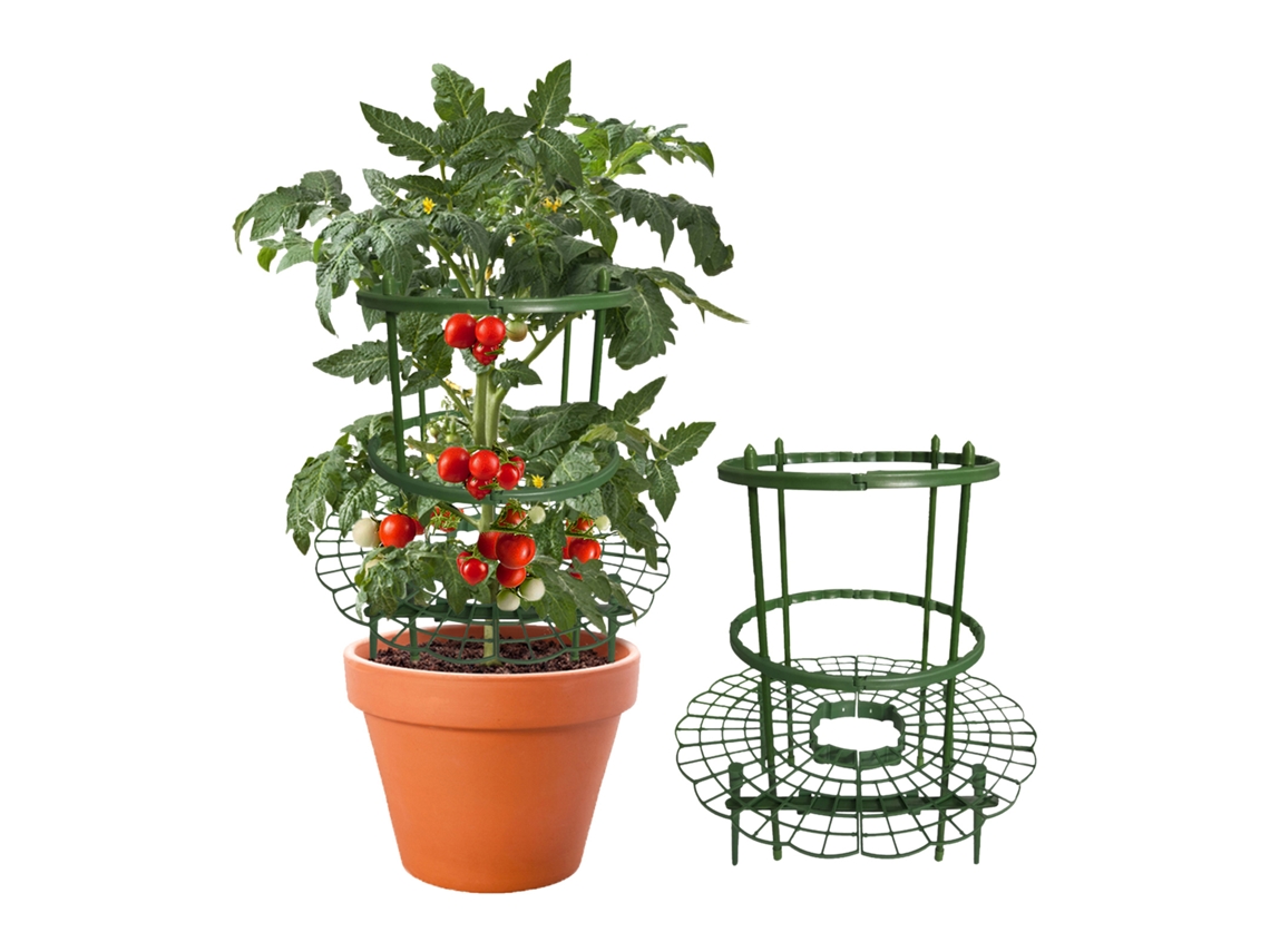 Soporte Para Plantas De Fresas, Tomates, Crecimiento Recto, Macetas De Jardín, Estacas, Plástico, Verde