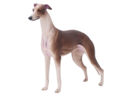 Ats-modelo De Galgo Simulado Marrón Ornamento De Escritorio Decoración Juguete Regalo Para Niños