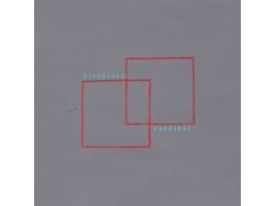 Vinilo Pinegrove - Cardinal