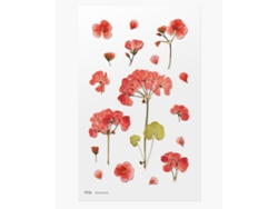 Pegatinas decorativas de flores de geranio de Appree