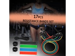 Juego De 17 Bandas De Resistencia Con Asas, Anclajes Y Bolsas Para Entrenamiento Físico, Rehabilitación En Casa Y Viajes.