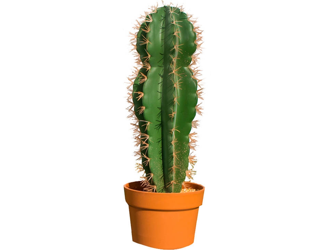 Planta Artificial CATRAL Cactus Stetsonia Coryne (64 cm)