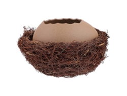 Juego de 1 jarrón creativo en forma de cáscara de huevo con nido, práctico jarrón de cerámica con forma de huevo de pájaro de Rosewell