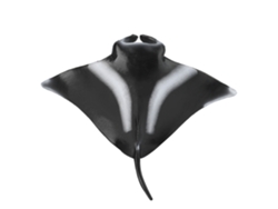Figura En Miniatura De Manta Raya, Modelo De Animal De Plástico, Juguete Educativo Y Decorativo Para Niños.