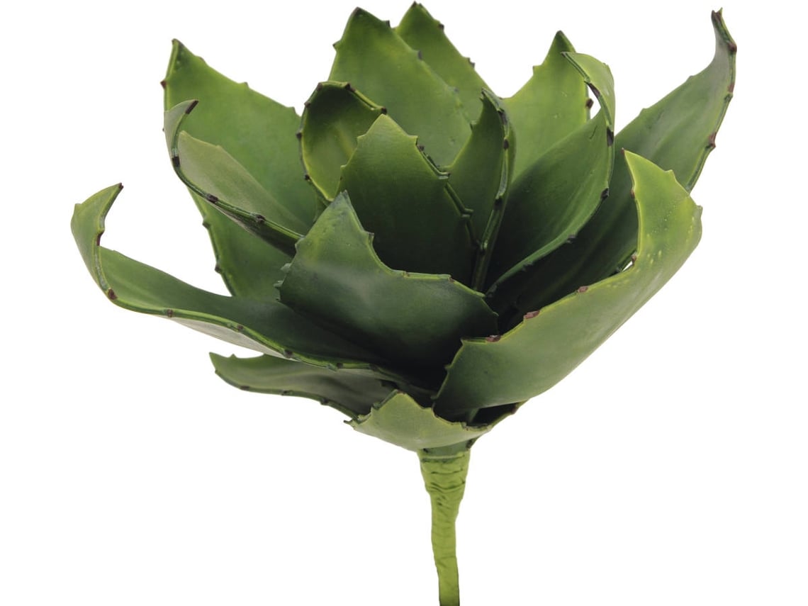 Planta Artificial EUROPALMS Agave (Verde - 35 cm)