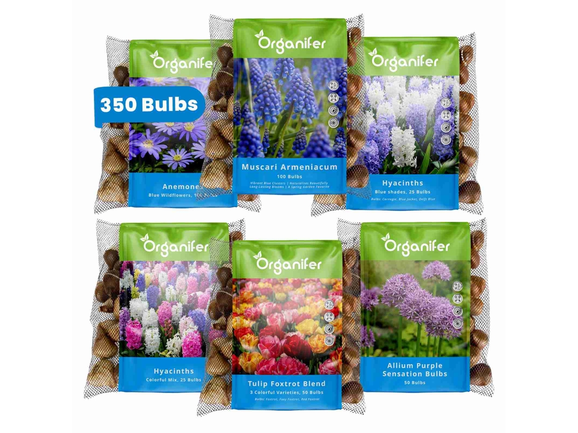 Caja sorpresa de bulbos de flores Organizador de bulbos XXL de primavera