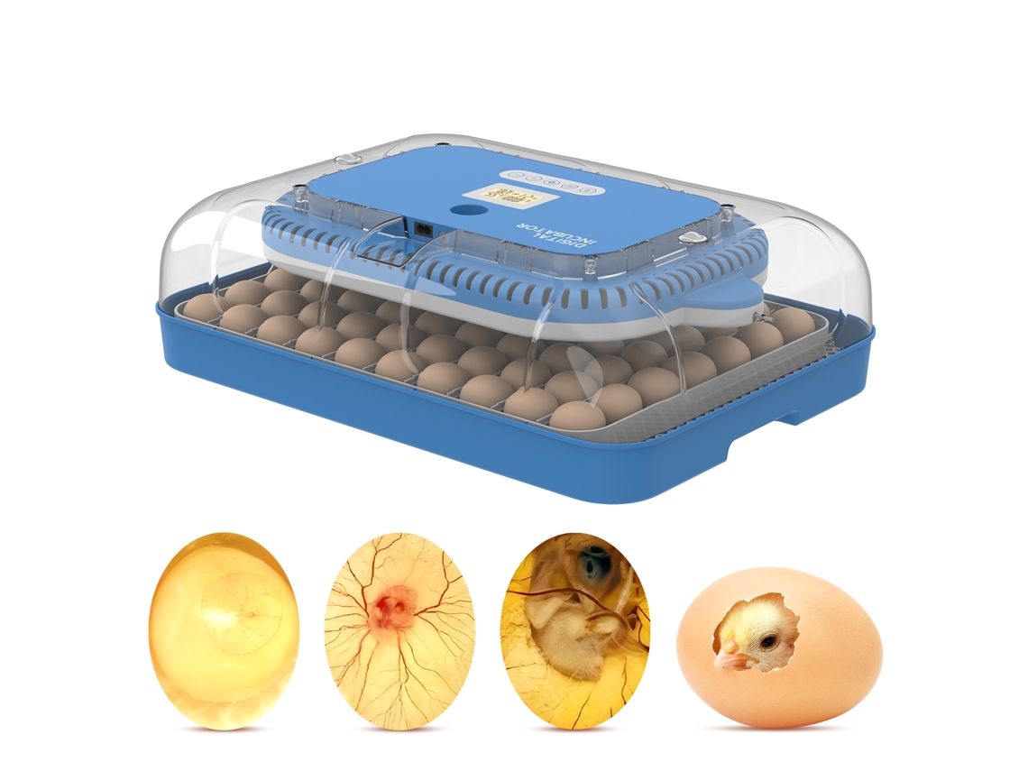 Incubadora de 70 huevos 3 en 1, incubación y eclosión, pantalla digital LCD, temperatura, humedad y días, control de humedad programable, giro automático.