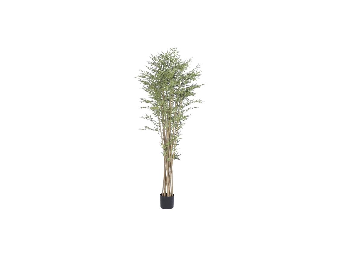Planta de Madeira Verde 105x105x210cm ALEXANDRA HOUSE LIVING