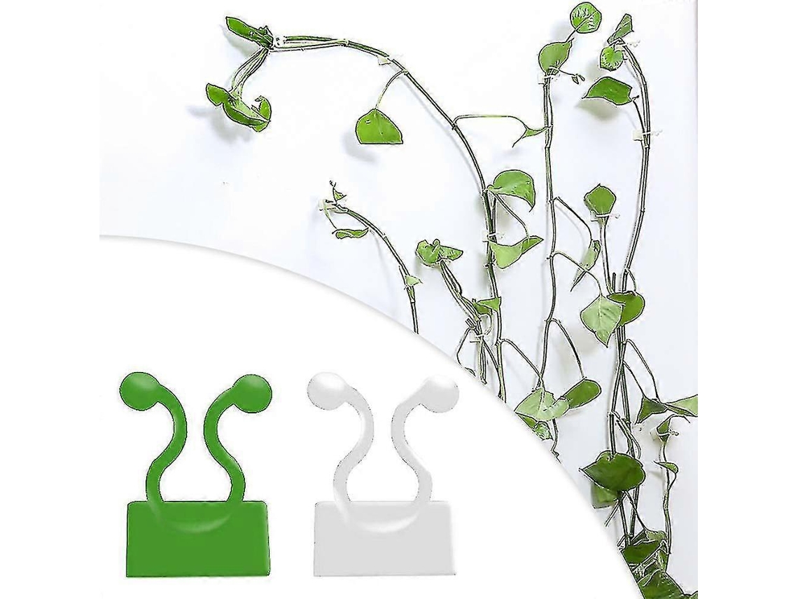 Clip Invisible Para Plantas Trepadoras Gancho Fijo Para Pared De Caña M Blanco 10 Piezas