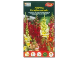 Fito Flores Semillas Antirrhinum Conejitos Variados 00505 Caja 10 Unidades FPLUS