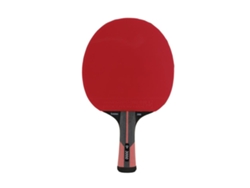 Raqueta de tenis de mesa DUNLOP Evolution 3000