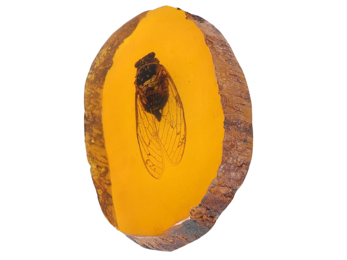 Piedra De Resina Con Insecto Ámbar Naranja, Adorno De Resina Único Para Decoración Y Regalo.