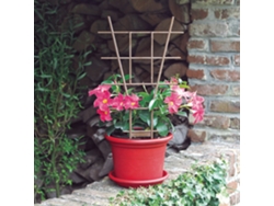 Protector de espalda Echelle 50cm NORTENE Marrón