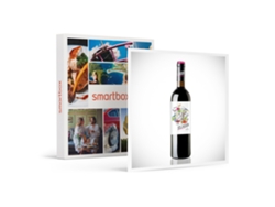 Caja Regalo SMARTBOX Bodegas y Viñedos Labastida Solagüen a domicilio: 6 botellas de tinto Rioja Solagüen Maceración Carbónica