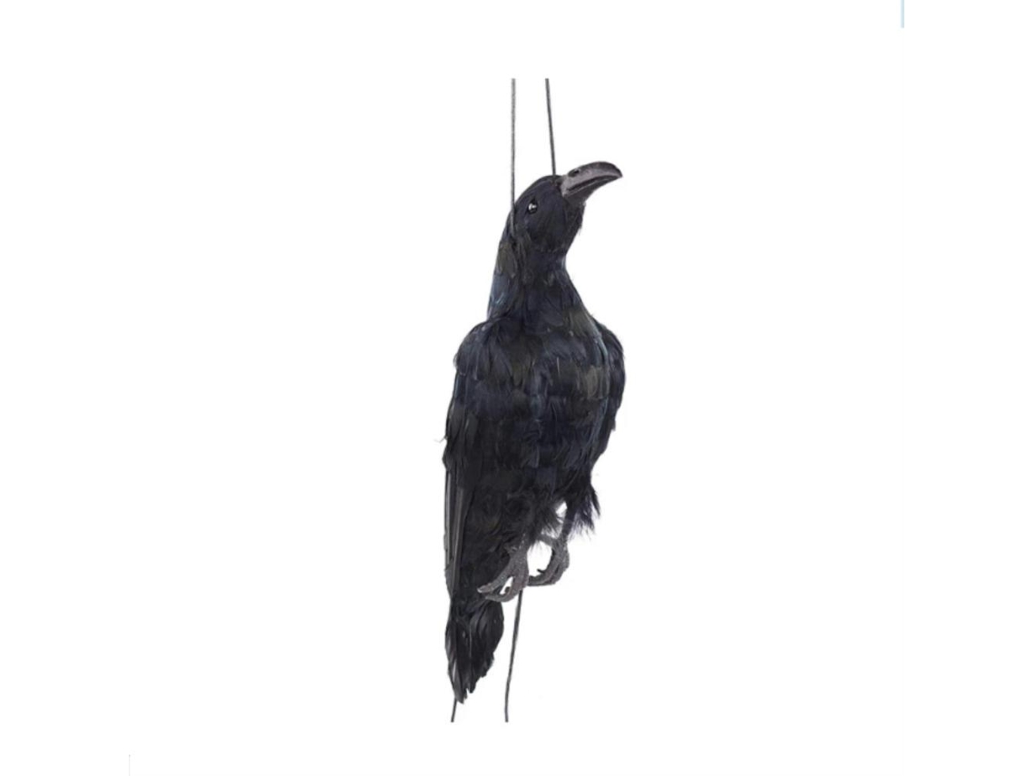Colgante de cuervo muerto simulado y cuervo negro para decoración de jardín.