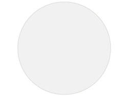 Maison Exclusive - Protector De Mesa Pvc Mate Ø 100 Cm 1,6 Mm