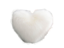 Cojín Corazón En Peluche - Para Días Especiales