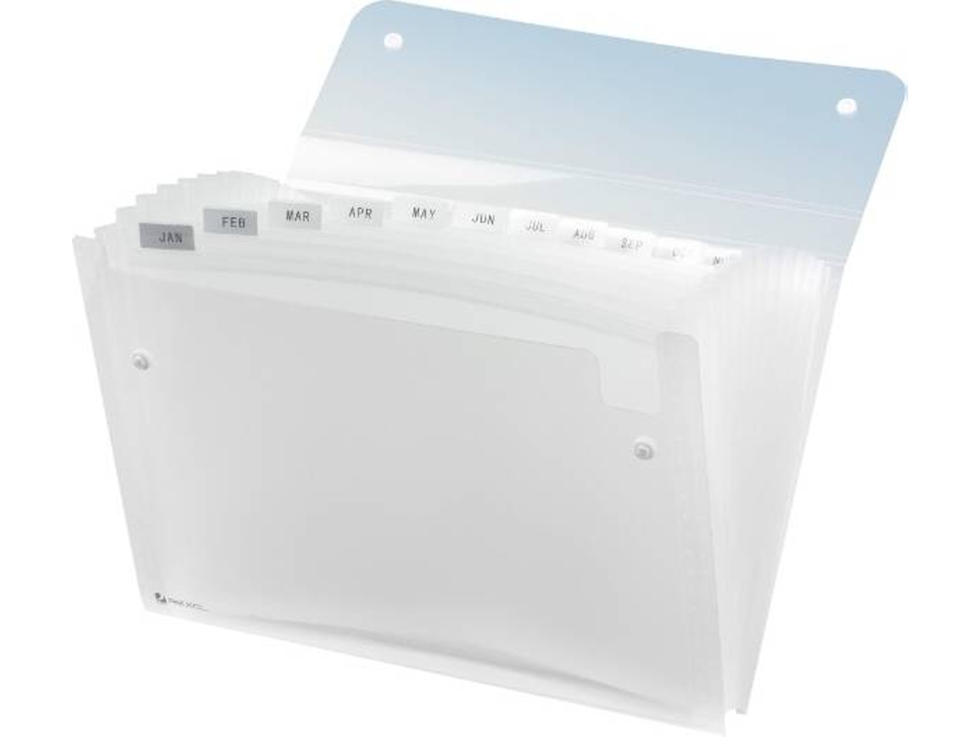 Carpeta REXEL Ice Transparente (A4 - 33x24.5cm - Polipropileno)