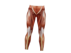Leggings de yoga Rosewell de cintura alta para mujer, con realce de glúteos y estampado muscular, tallas S y XXL