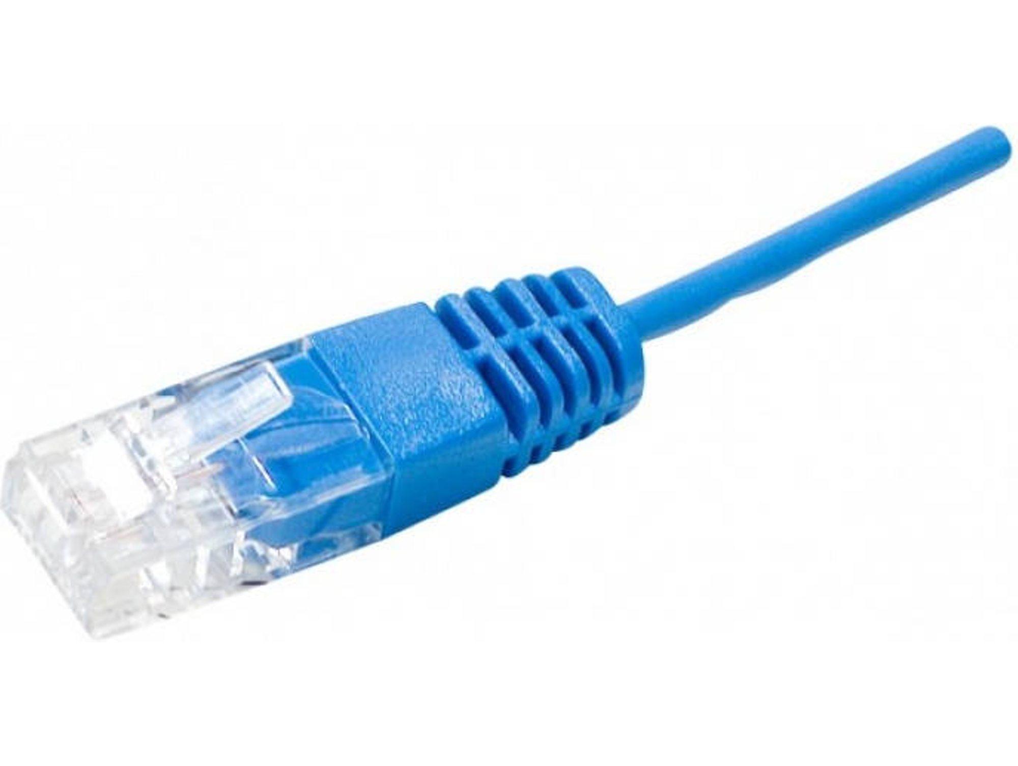 Cable de Red CONNECT (RJ45 - 1 m - Azul)