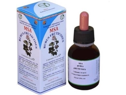 Complemento Alimentar HERBOPLANET Msa Rubus Fructicosus (50 ml)