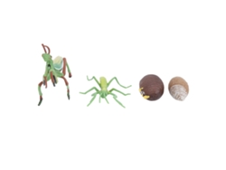Juguete De Insectos Ciclo De Crecimiento Simulación Alta Juguete Educativo Cognitivo Para Niños Niñas