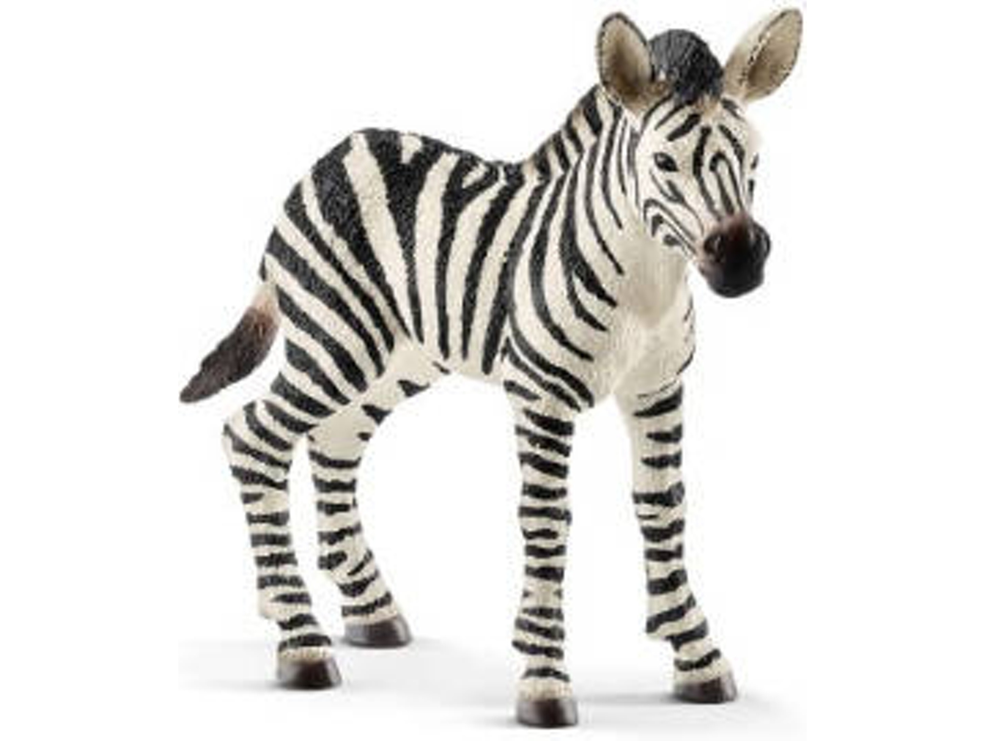 Figura de Jugar SCHLEICH 14811 Cebra Bebé