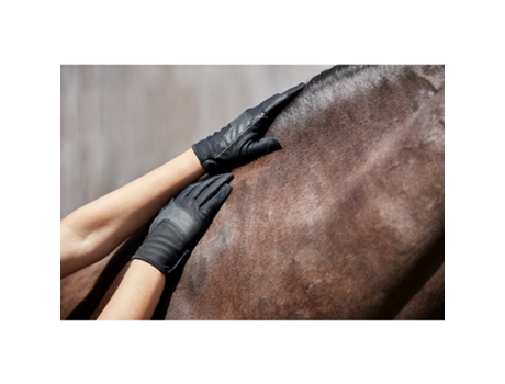 Guantes de equitación EQUIPAGE Karla XS