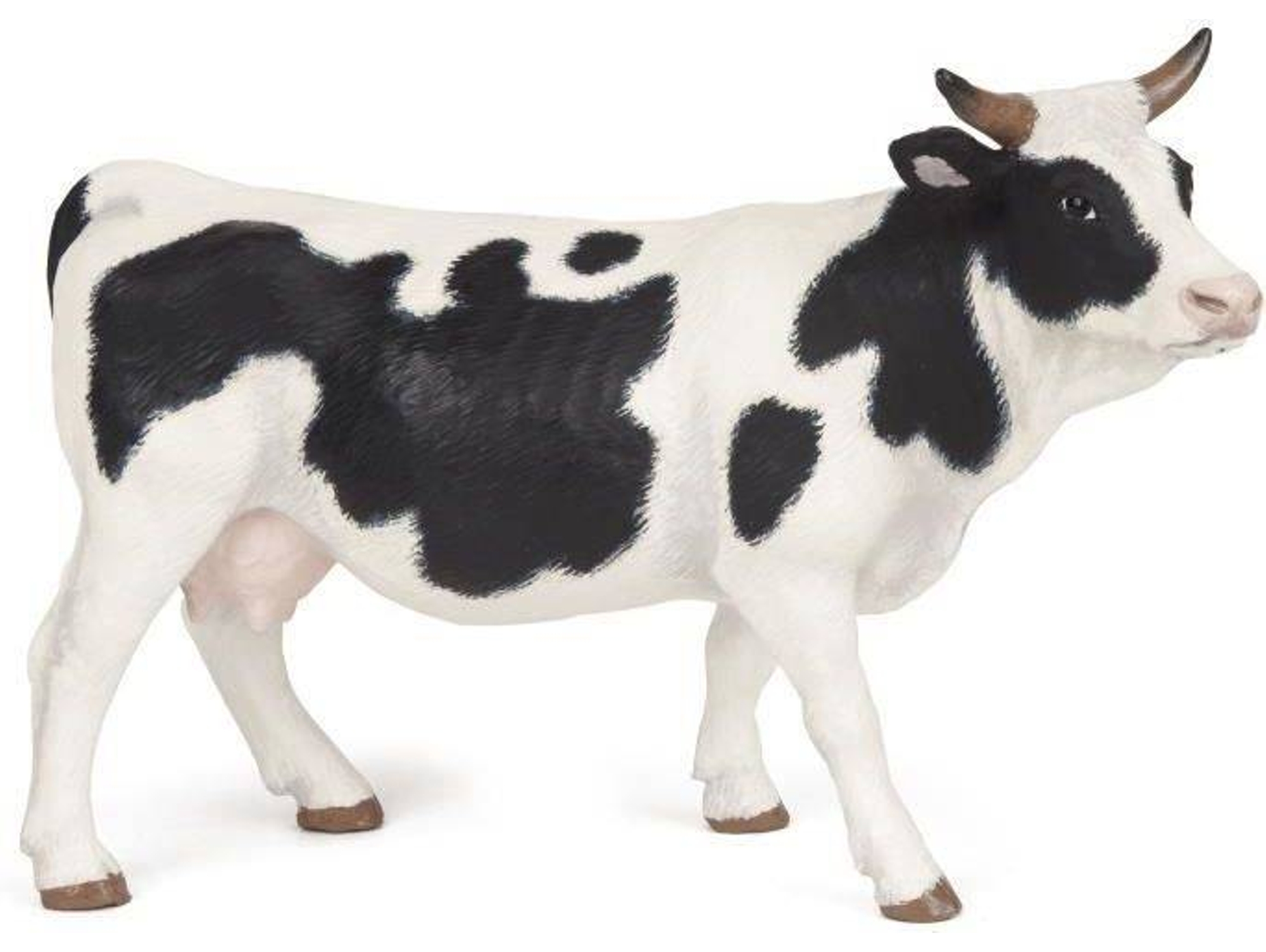 Figura PAPO Vaca