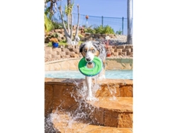 Disco Para Perros, Flotante, Deportes Al Aire Libre, Accesorios Para Mascotas, Ergonómico, Uso Diario