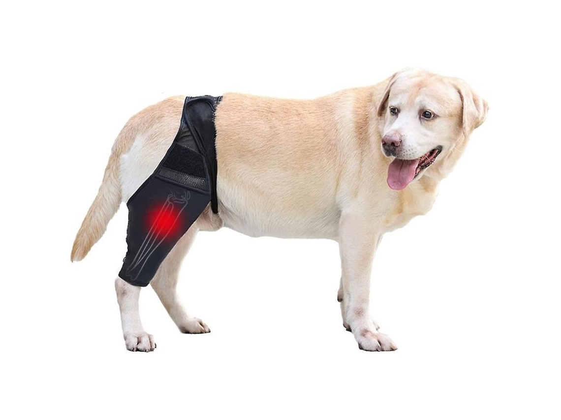 Rodillera Rebe para perros con correa, soporte para fracturas y artritis, ajustable y reversible, talla M.