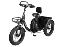 Eskute T302 Pro Bicicleta Eléctrica 250w 48v 20.8ah 20'' - Negro
