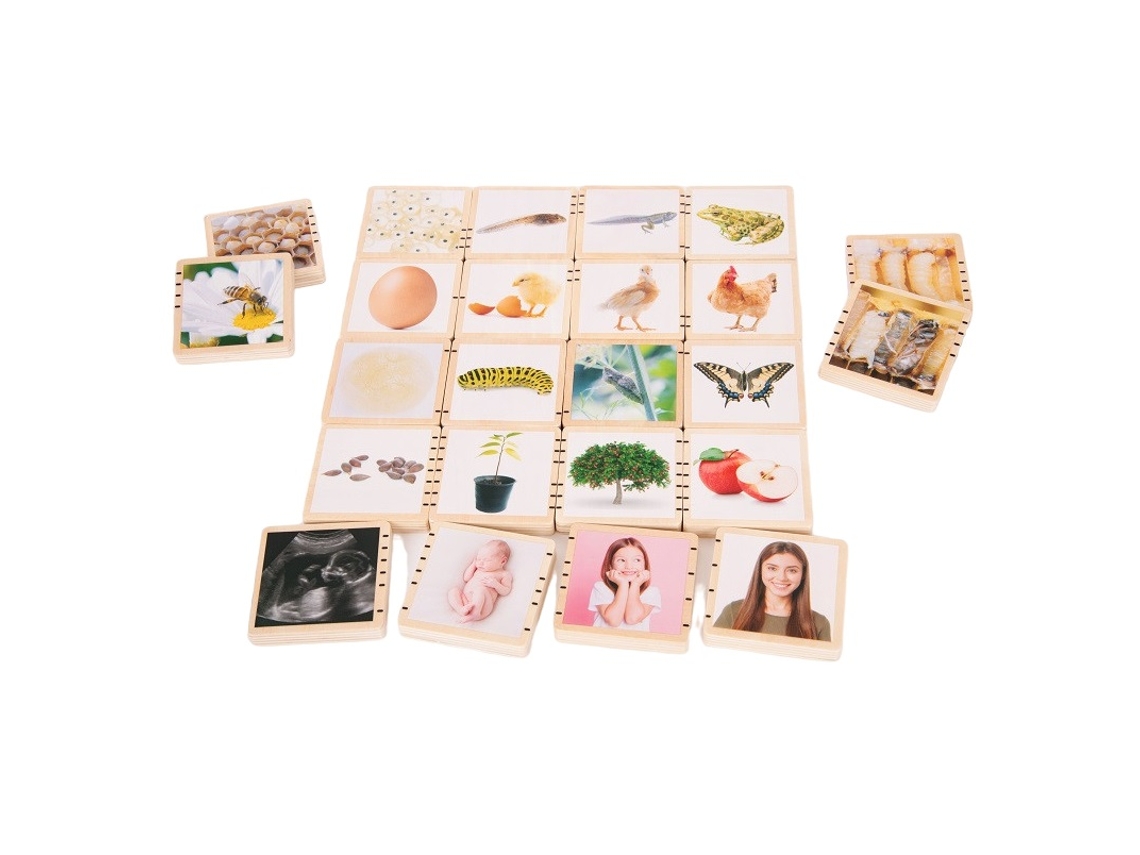 Wooden Lifecycle Tiles TICKIT (12 meses)