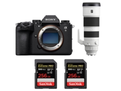 Sony A9 Iii + Fe 200-600mm F/5.6-6.3 G Oss + 2 Sandisk 256gb Uhs-ii 300mb/s + Ebook “20 Consejos Para Fotos Que Impactan”